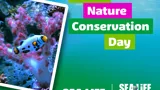 World Nature Conservation Day Wizard Thumbnail