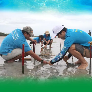 Conservation Ocean