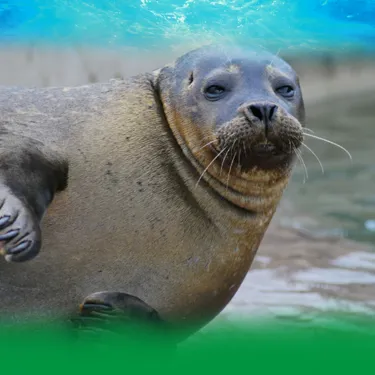 Conservation Seal