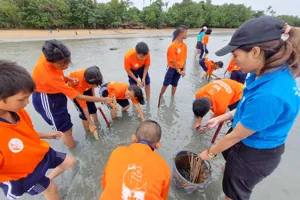 Seagrass 5 (1)