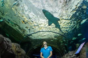 Murdoch And Senior Aquarist At SEA LIFE Sydney Aquarium