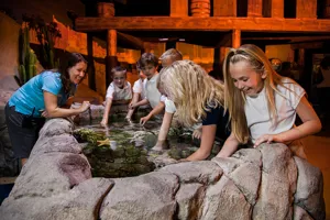 School trip at SEA LIFE
