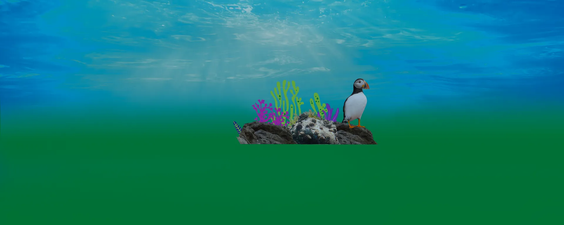Header Strips 1920X768 Seabird
